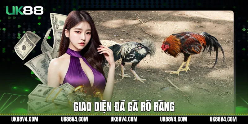 Đá Gà UK88 - Trải Nghiệm Theo Dõi Ổn Định, Rõ Ràng Giao diện đá gà rõ ràng